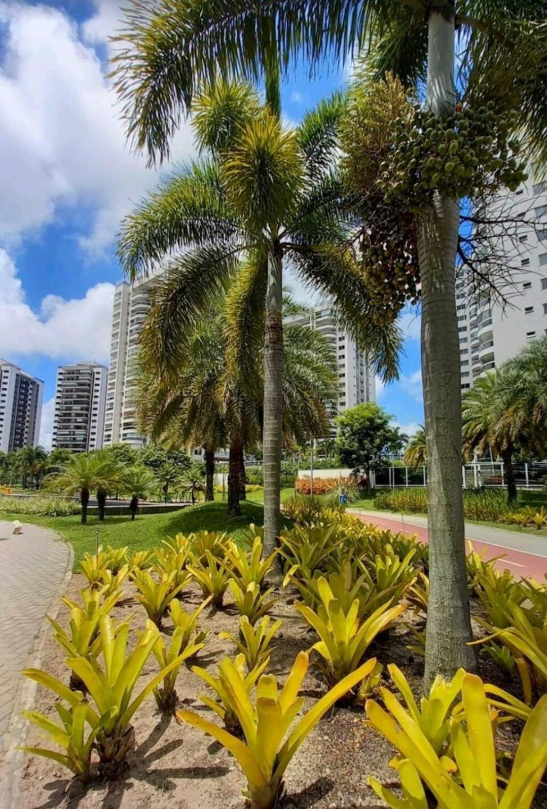 Ap 2qt Prox Rio Centro Rede Globo E Arenas Apartamento Rio de Janeiro